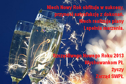 Noworoczne życzenia 2013